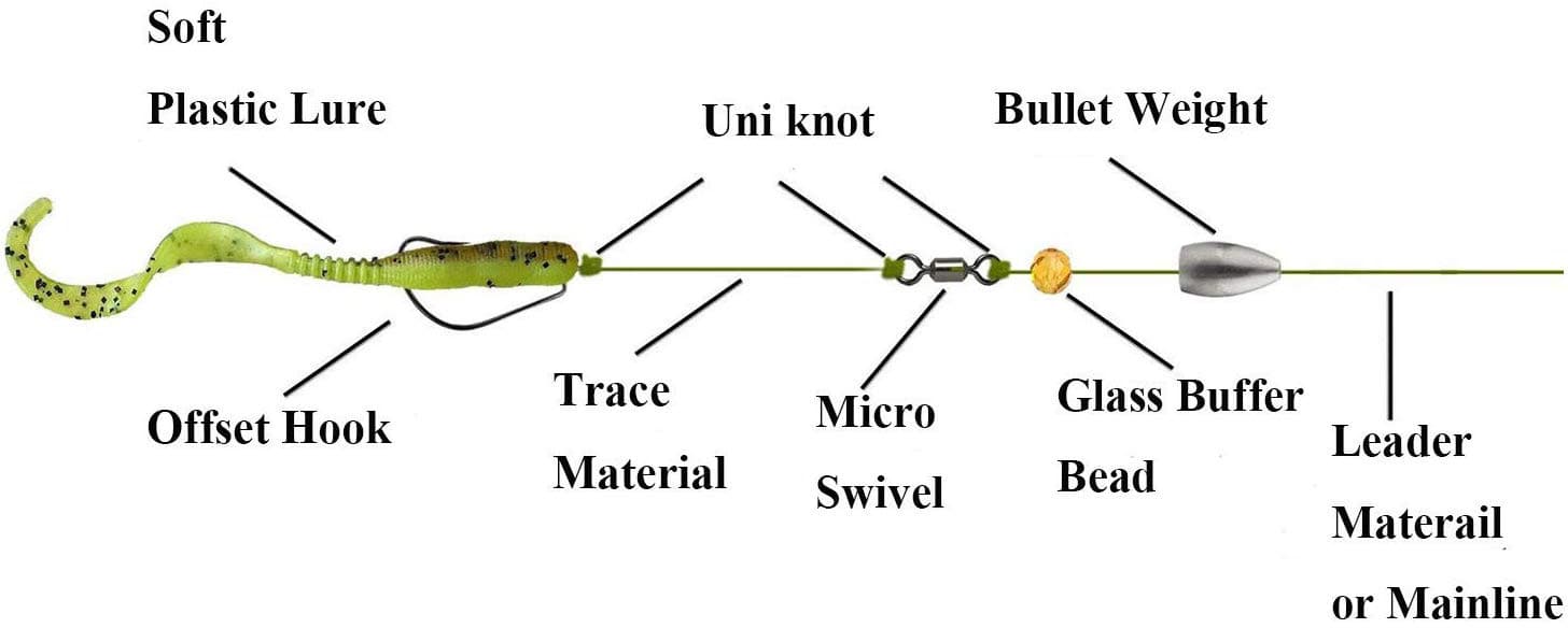 Carolina Rig  Ultimate Fishing Site