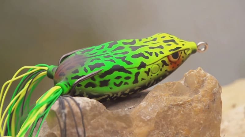 SPRO Bronzeye Frog fishing lure sitting on a rock