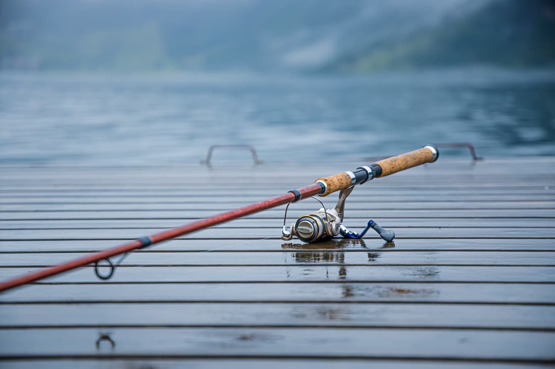 10 Best Spinning Rods for Bass in 2024 - Bass N Edge