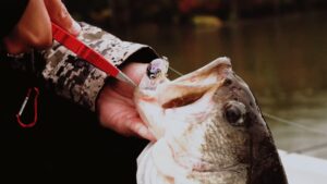 man removing crankbait from bass's mouth.