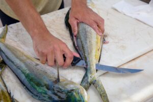 Man cleaning a fish with a fillet knife