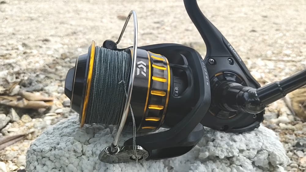 Daiwa BG Spinning Reel on a rock