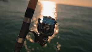 Daiwa BG spinning reel on a rod