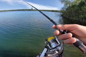 Fishing with the Pflueger Supreme