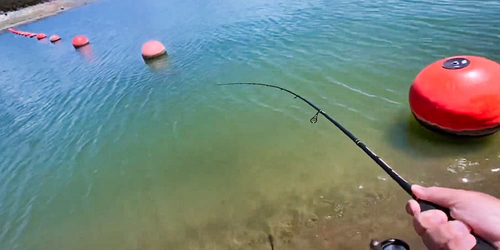 Dobyns Fury Casting and Spinning Rod Review - Bass N Edge