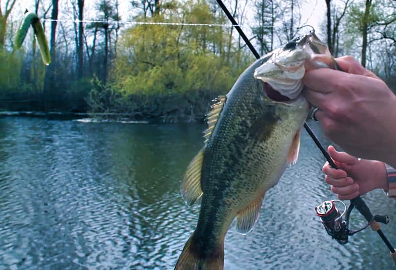 St. Croix Mojo Bass Spinning and Casting Rod Review - Bass N Edge