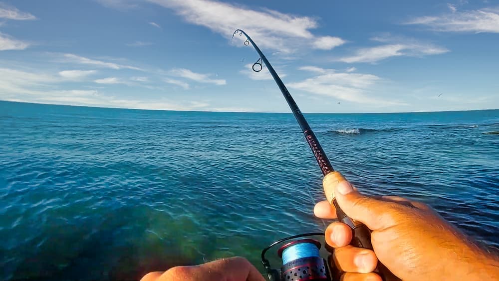 Man inshore fishing with the Elite rod