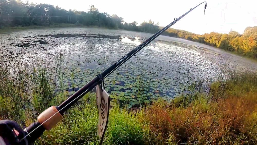 Fishing with the Elite casting rod