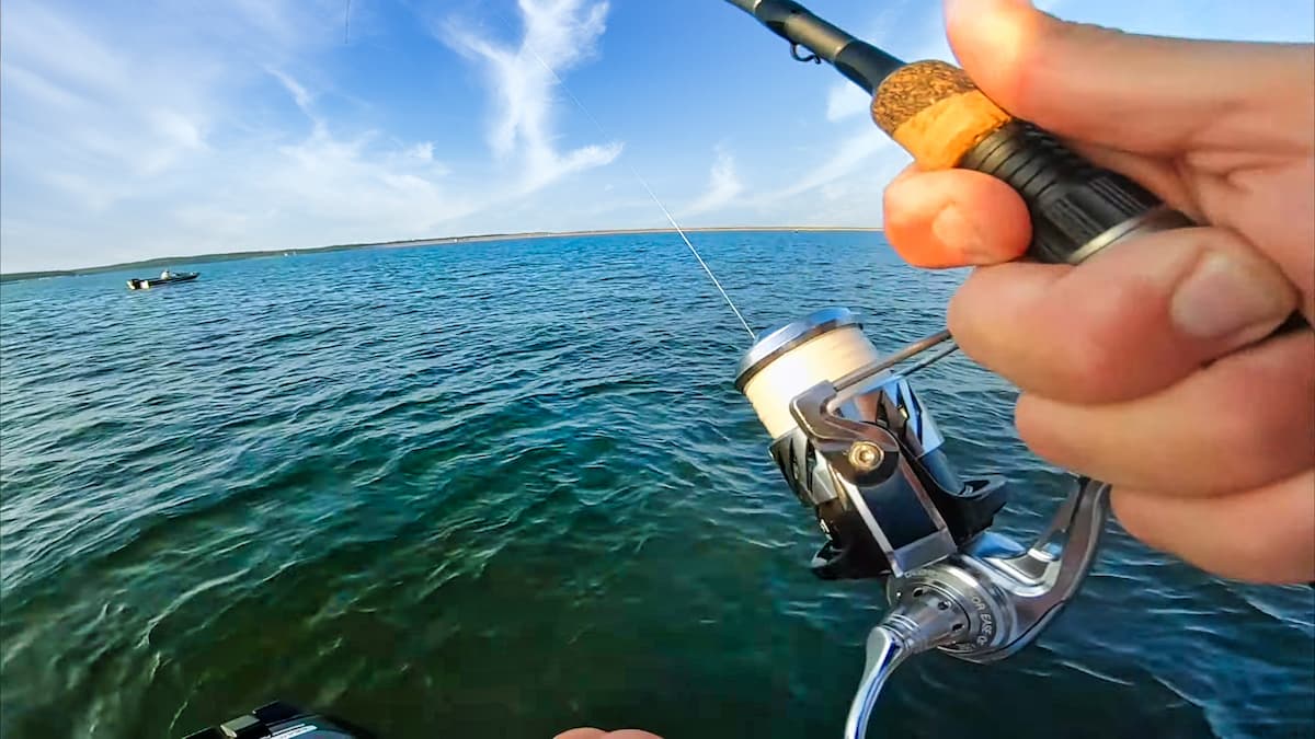 Piscifun Alloy X Spinning Reel Review 2024 - Bass N Edge