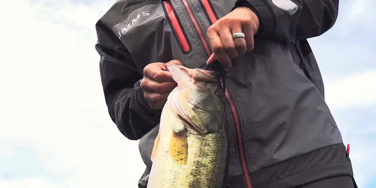 Man taking a lure out of a bass's mouth
