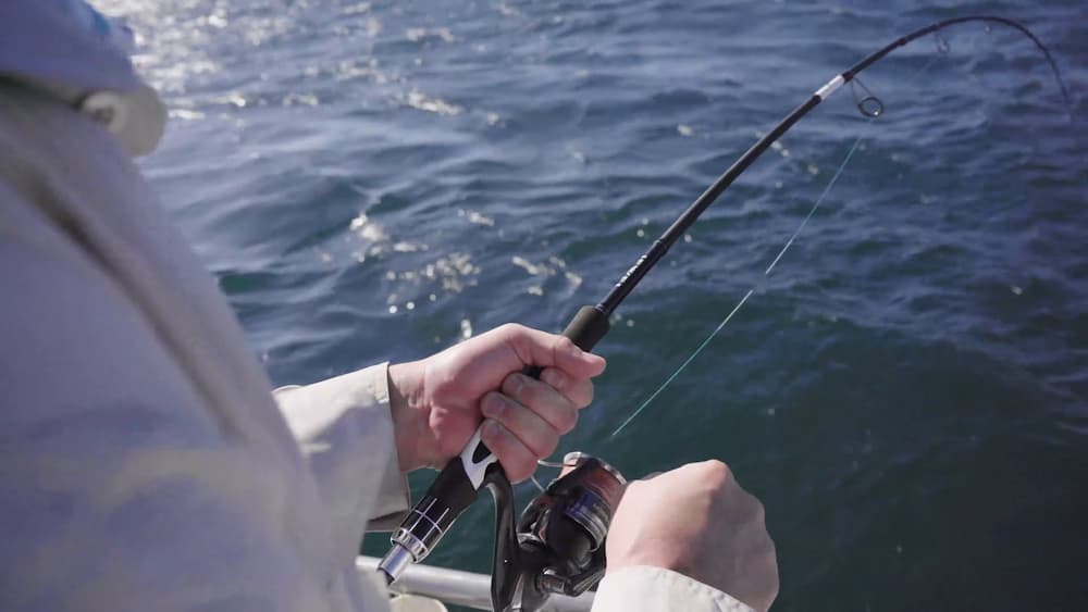 Fishing with Shimano's Miravel reel.