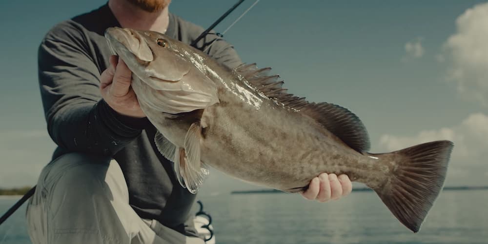 Man holding up a fish he caught with the Penn Clash 2.
