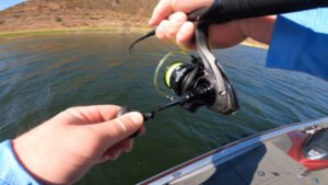 Bass fishing with the Daiwa Tatula LT Spinning Reel.