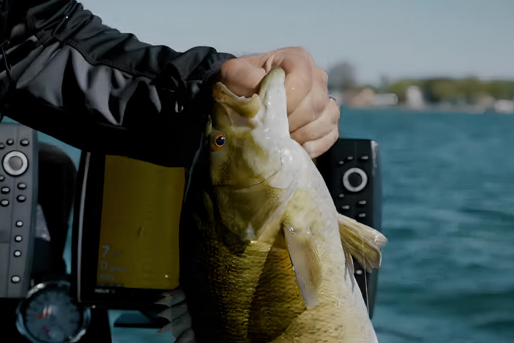 Wielding the Lews HyperMag Spinning Reel to catch a fish.