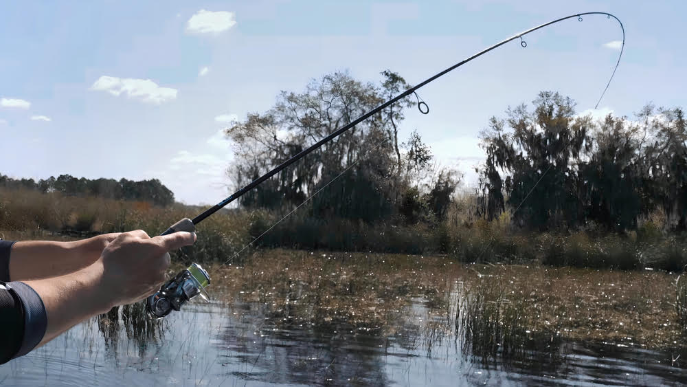 Bass fishing with the Daiwa Exist Spinning Reel at a lake.