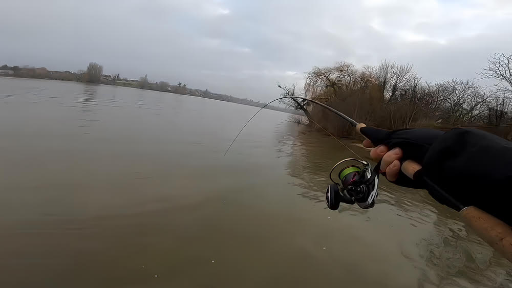 Aclose-up of the Daiwa Fuego LT Spinning Reel.