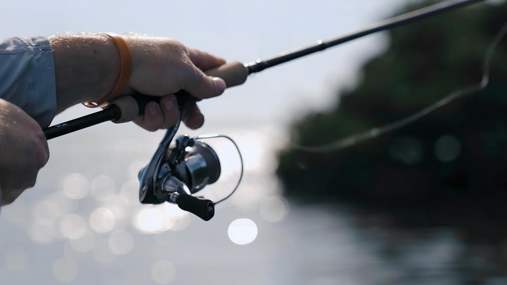 A. Daiwa Exist Spinning Reel - High Performance Fishing Gear