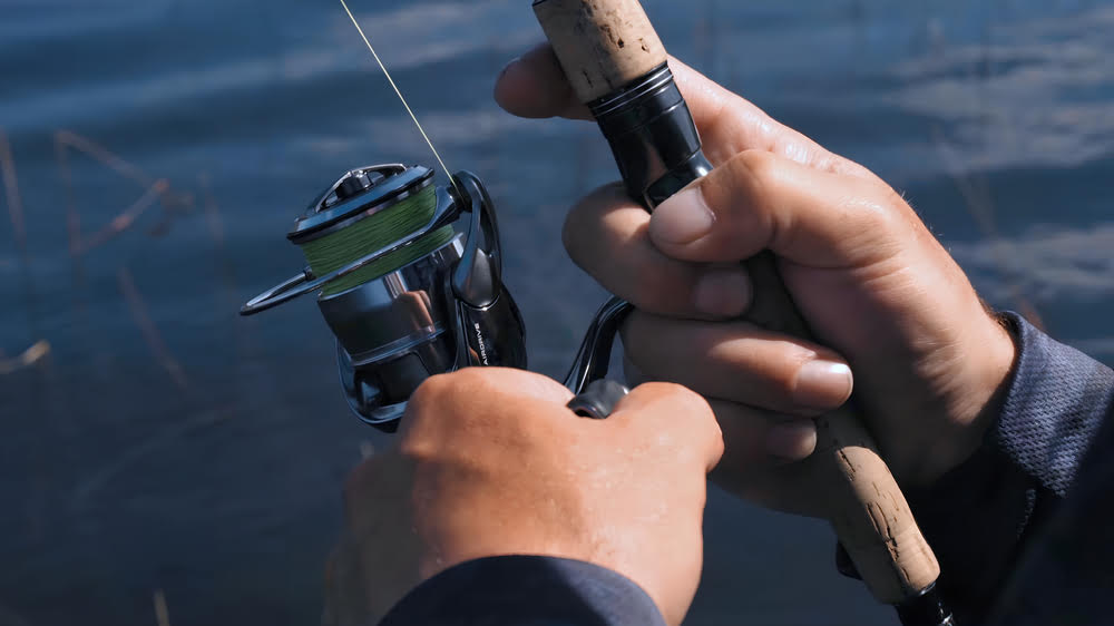Possessing the Daiwa Exist Spinning Reel.