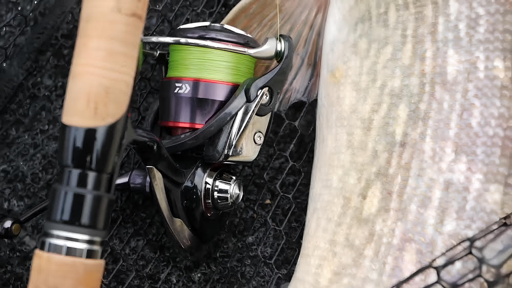 Daiwa Fuego LT Spinning Reel Review - Bass N Edge