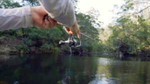 Daiwa Certate LT Spinning Reel held by a man standing in the water.