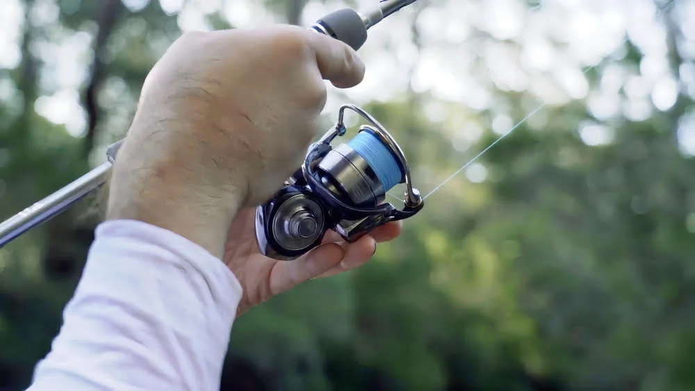 Daiwa Certate LT Spinning Reel Review - Bass N Edge
