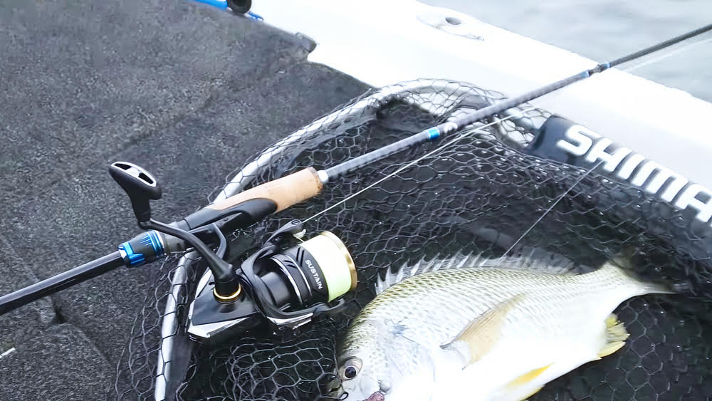 Picking up a Shimano Sustain FJ Spinning Reel for a fishing trip.