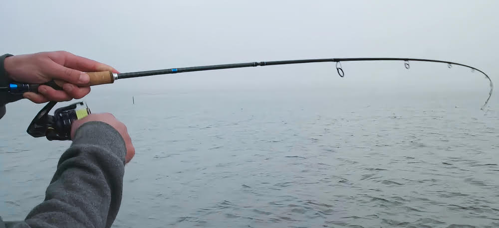 Waterside view of a Shimano Sustain FJ Spinning Reel.