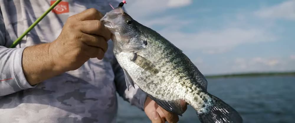 Man showing off a smallmouth bass he caught.