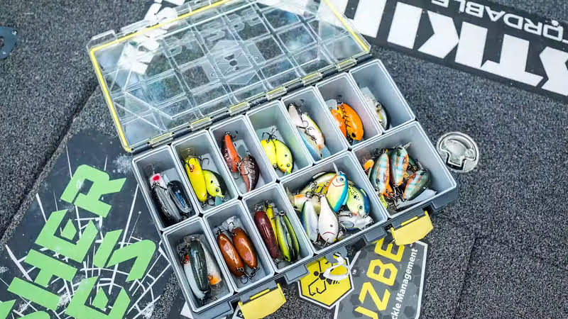 Buzbe Colony 28D Deep Modular Tackle Boxes filled with various types of fishing lures