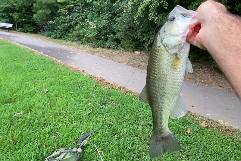 13fishing　オリジンC 13 Fishing Origin C - Casting Reel | Karl's Bait & Tackle