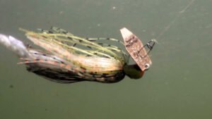 How To Fish With A Chatterbait Lure - Bass N Edge