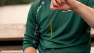 A man in a green shirt holding a drop shot rig for bass fishing