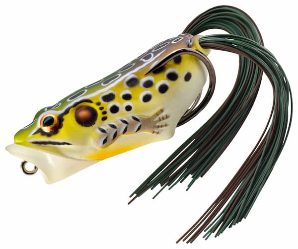 Man-Holding-LIVETARGET-Frog-Popper-Lure manufacturer image.