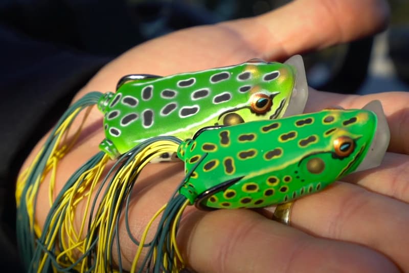 Hand holding two green LIVETARGET Hollow-Body Frog Popper lures.