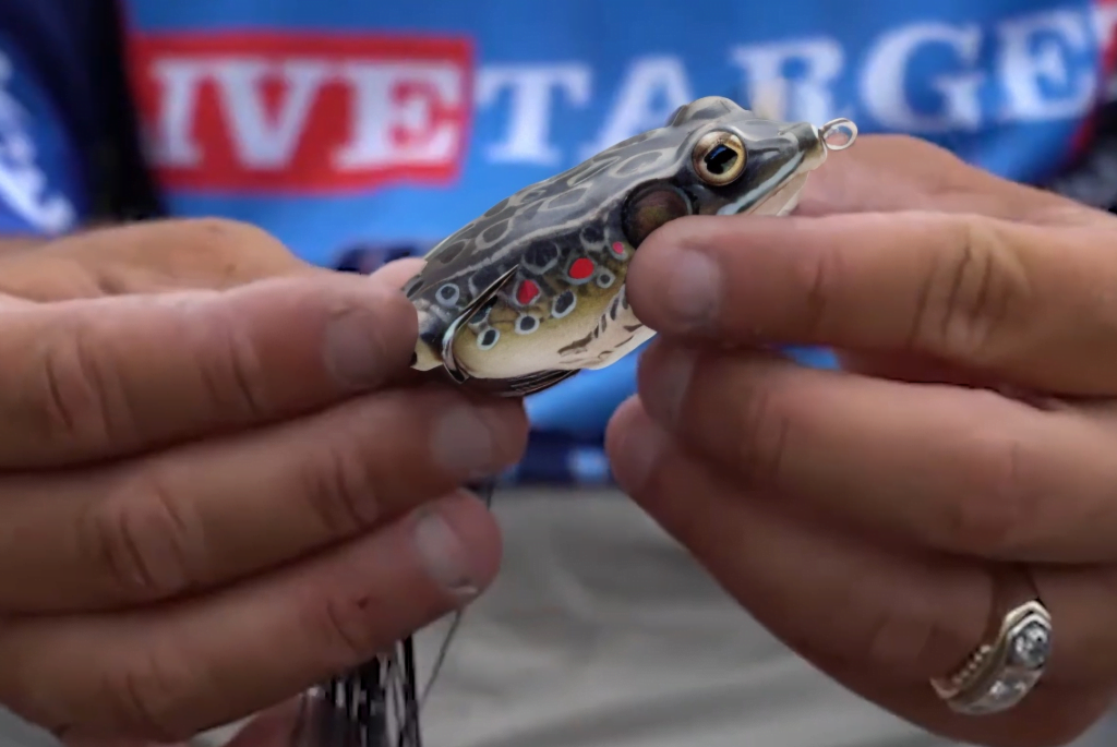 Holding the LIVETARGET Hollow-Body Topwater Frog up close to the camera.