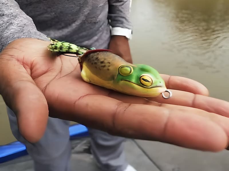 Holding the Scum Launch Frog in the palm of the hand.