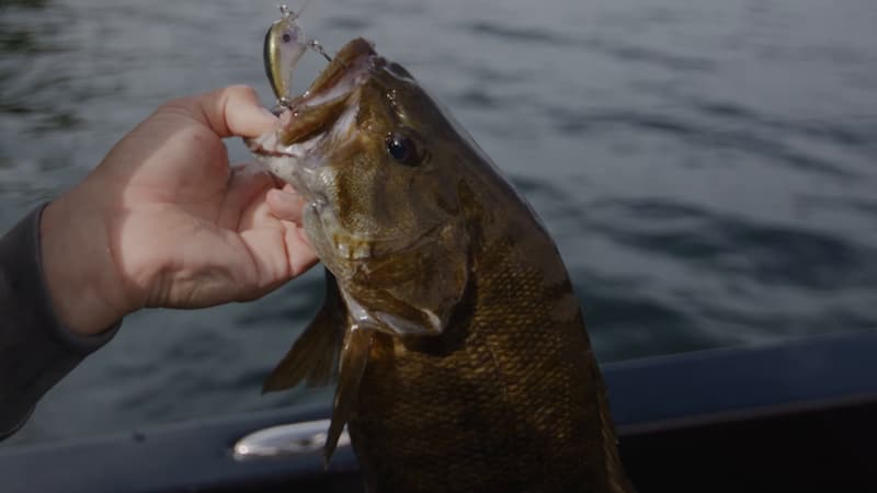 Holding a largemouth bass.