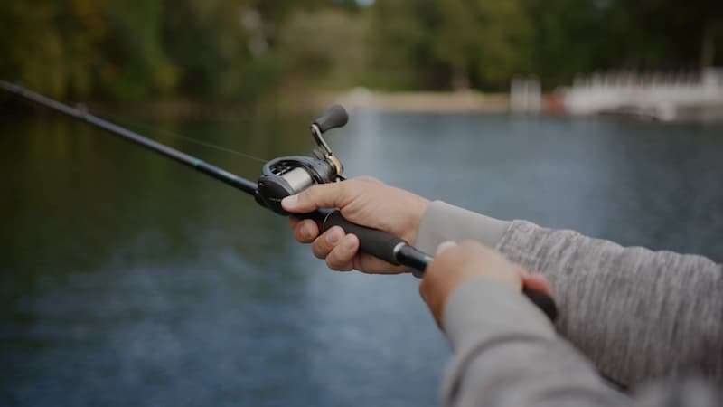Casting the Curado BFS.